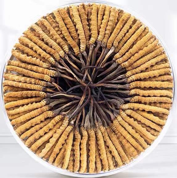 南通冬虫夏草回收